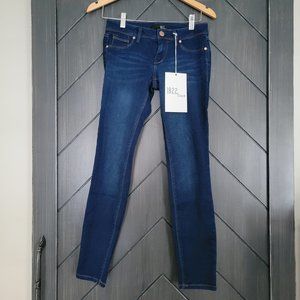 1822 Denim - Size 25 - Classic 30" Mid-Rise Butter Skinny In Wynter Lennox